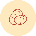Potato